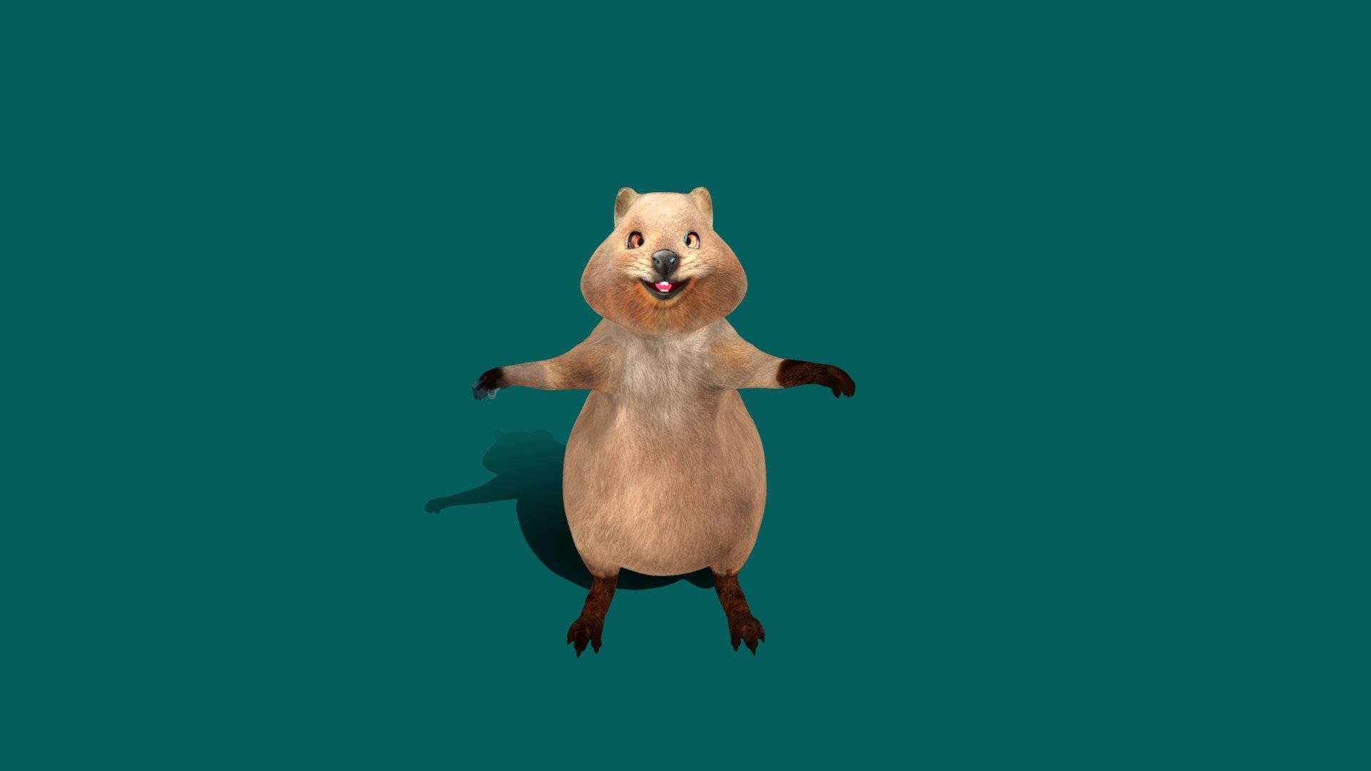 HBF Quokka Test - 3D model by Nyilonelycompany [cc41212] - Sketchfab