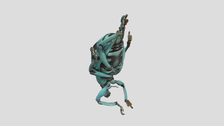 Beetle 3D Model