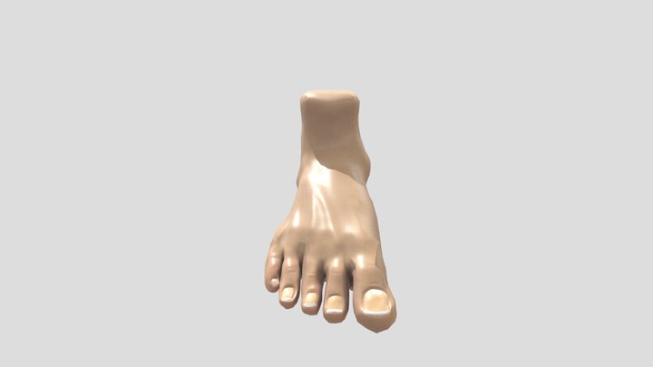 Foot Sculpt - 3D Model By Usmaan Ali 3D Model