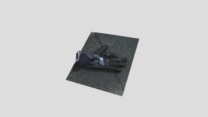handschuh_model 3D Model