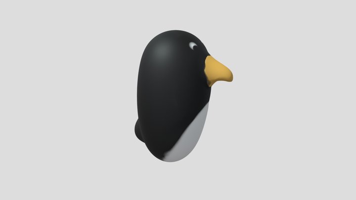 My model 3D Model