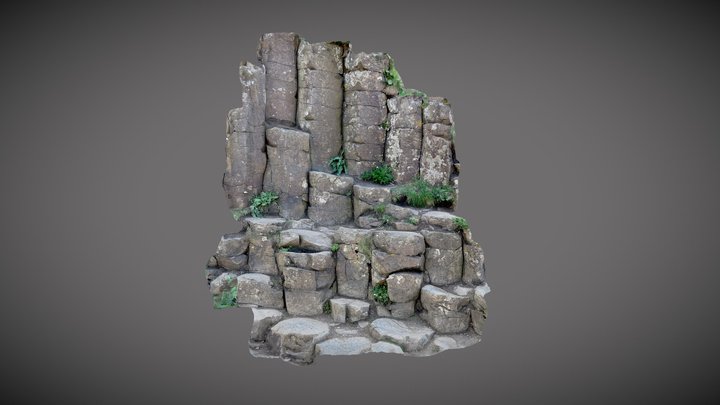 Basalt columns, Northern Ireland 3D Model