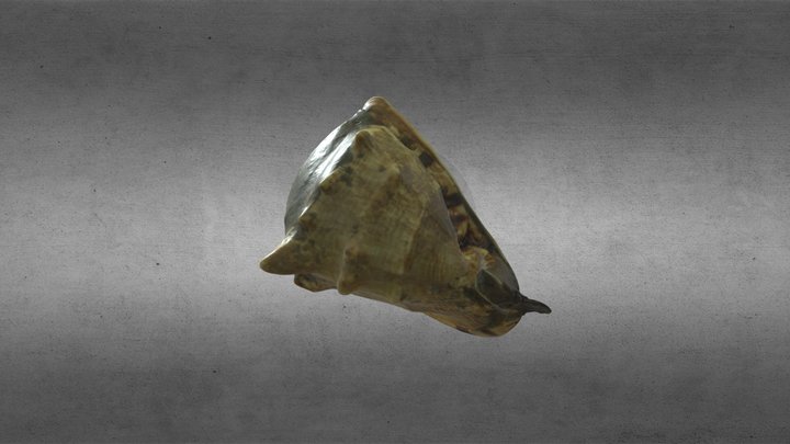 87.3.1 - Fétis 3D Model