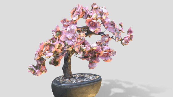 Plant 3D Model