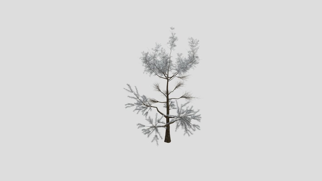 Sj Green Dream Pine Tree