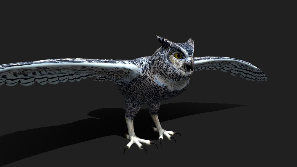 Realistic Owl 3D Model