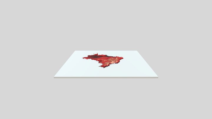 Pau-Brasil 3D Model