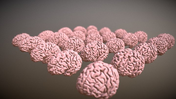 Twenty Five Brains 3D Model