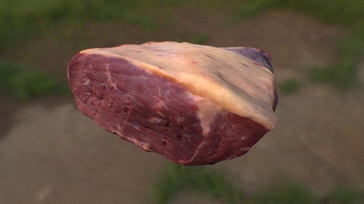 Silverside Photogrammetry Test 3D Model