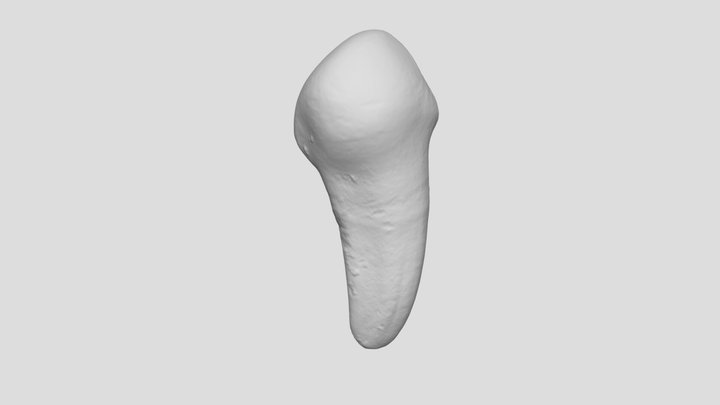 Cupar Untagged Female Left Premodification 3D Model