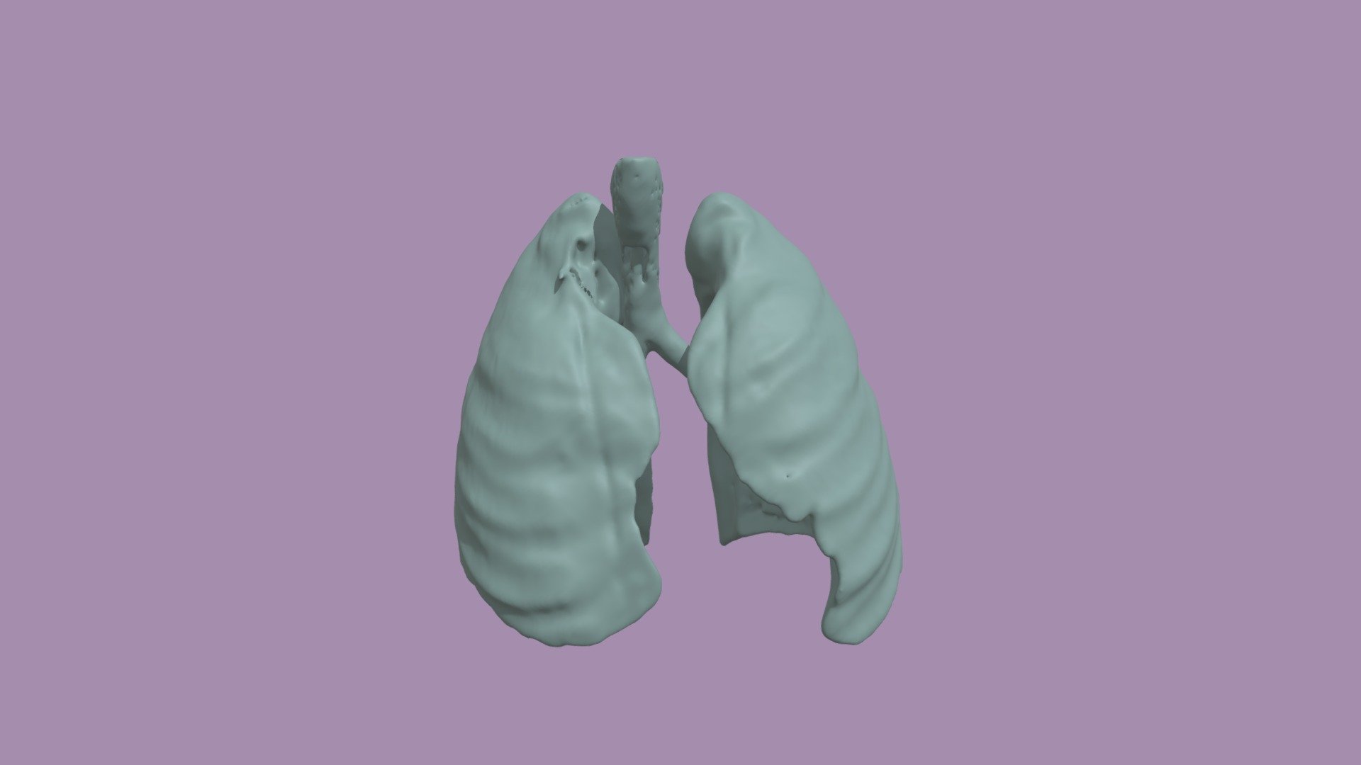 Segmentation_Lungs - Download Free 3D model by SunitaS [cc62161 ...