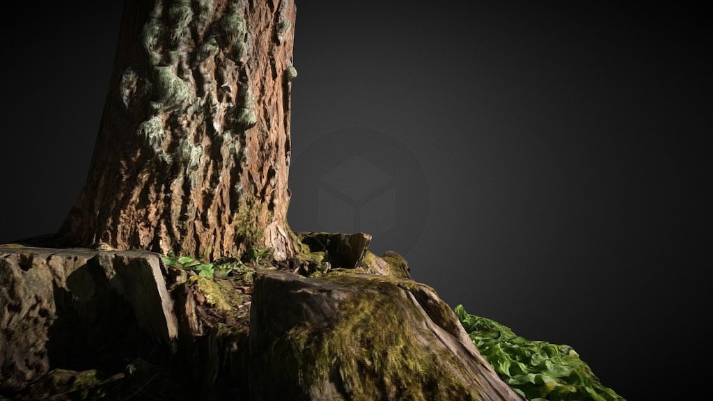 Tree 001