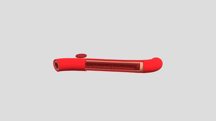 Blood Vessel 3D Model