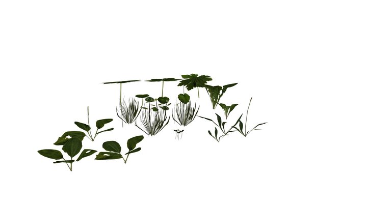 foliage plants - garden 3D Model