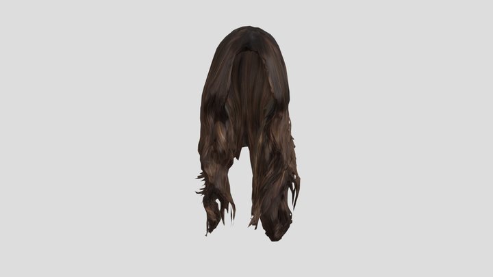 Long Brown Hair Silhouette 3D Model