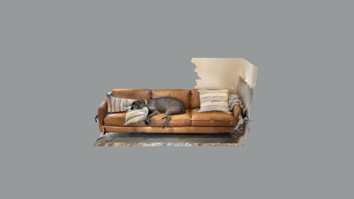 Office Dog hard at work 3D Model