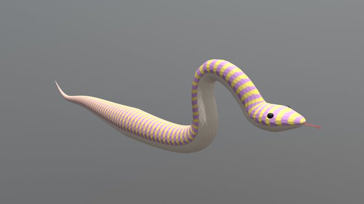 Striped Snake 3D Model