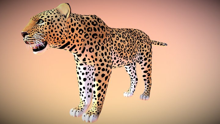 Leopard 3D Model