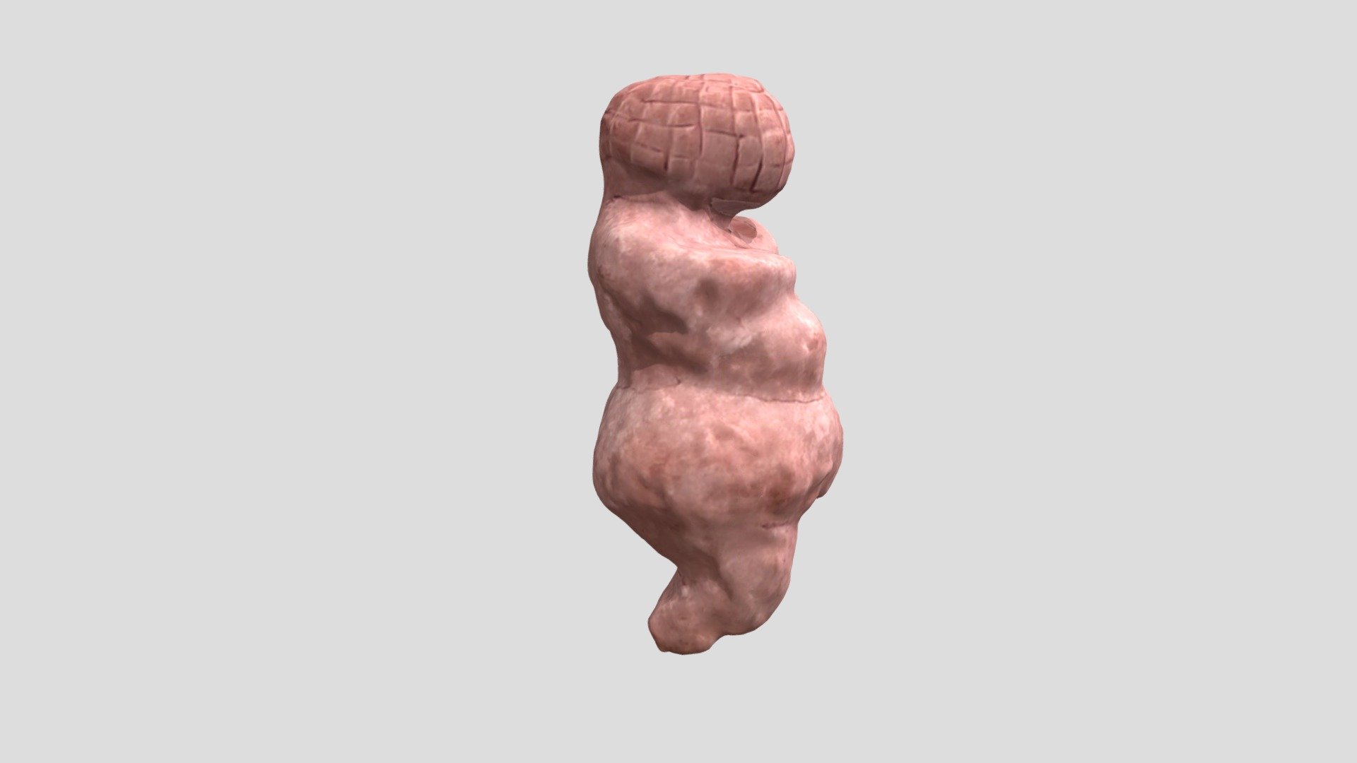 VENUS_D