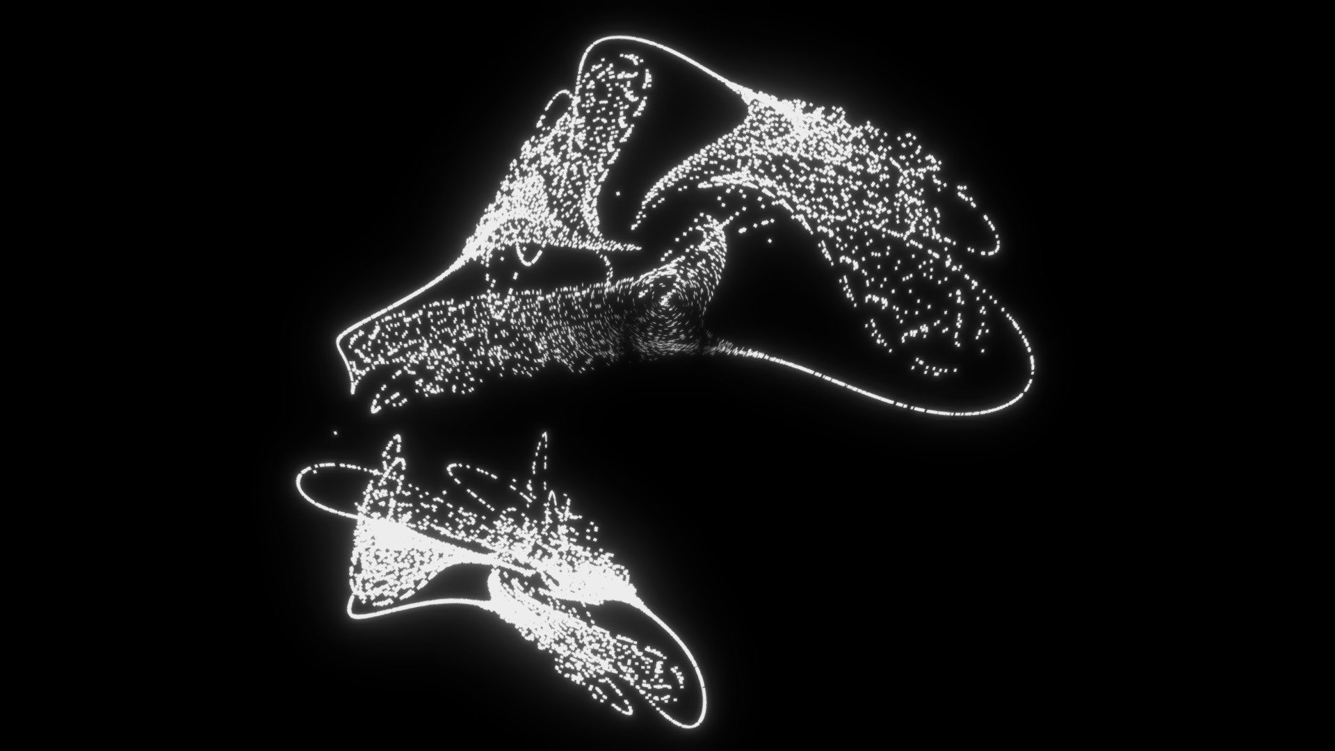 attractor/14 Polynomial A (stop_motion)