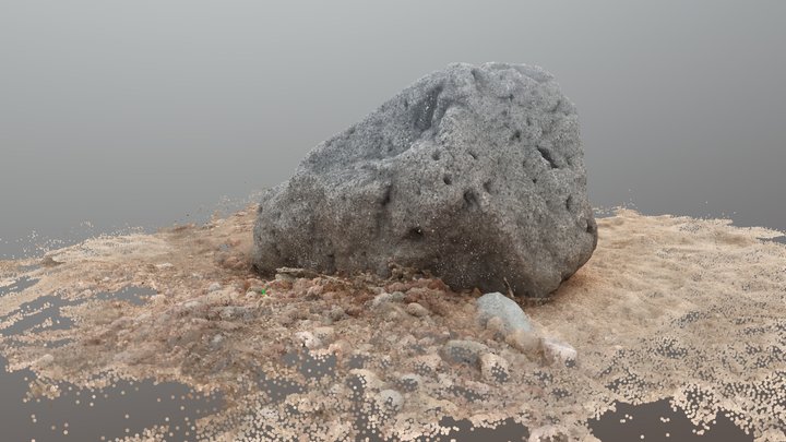 Lava Rock Point Cloud 3D Model