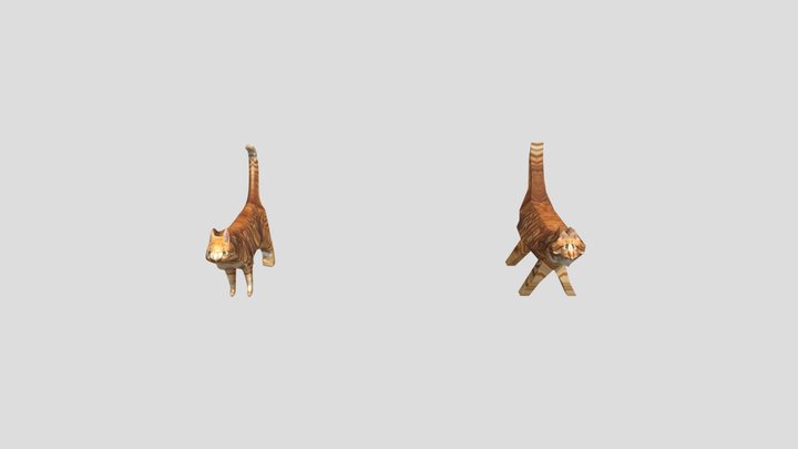 Low poly Cat model