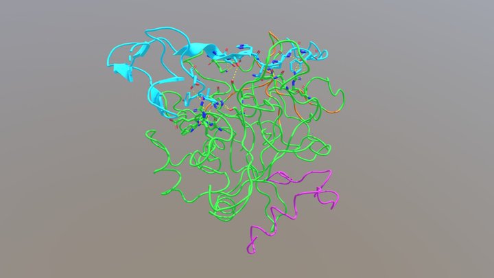 Features of the Thrombin-Hirudin Complex 3D Model