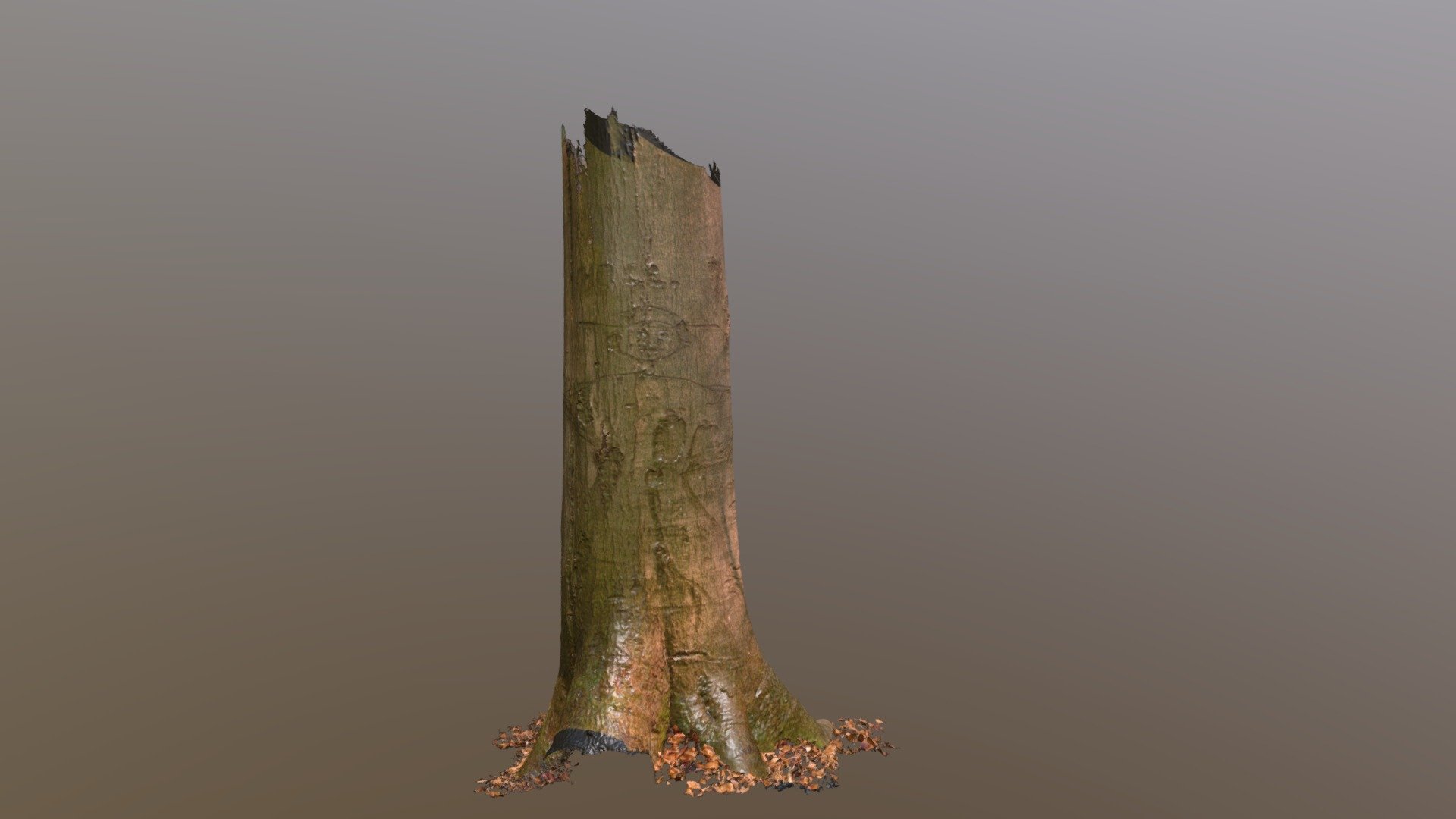 Baumritzung_140223_Holly-Buche_HD — Sketchfab embed 3D viewer