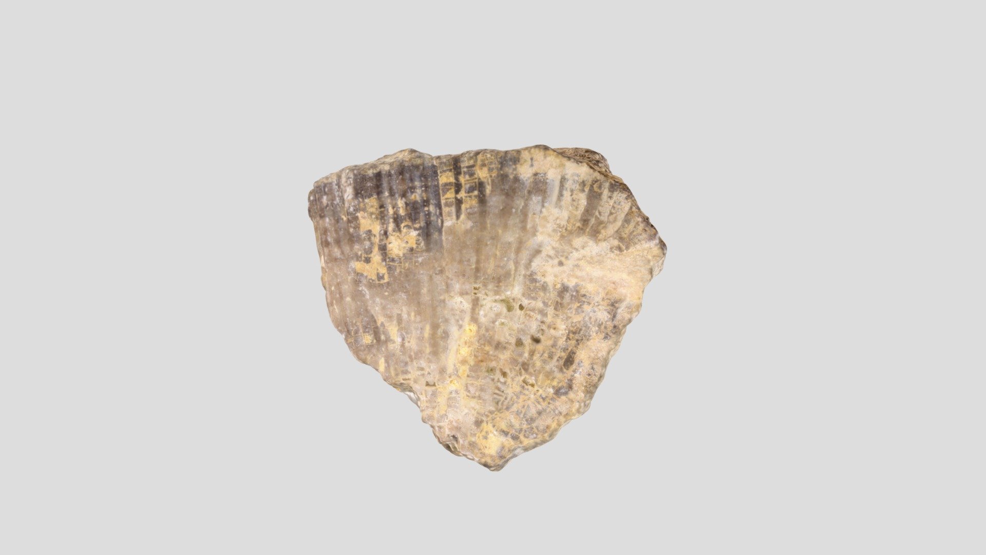 GSCI-PA-447