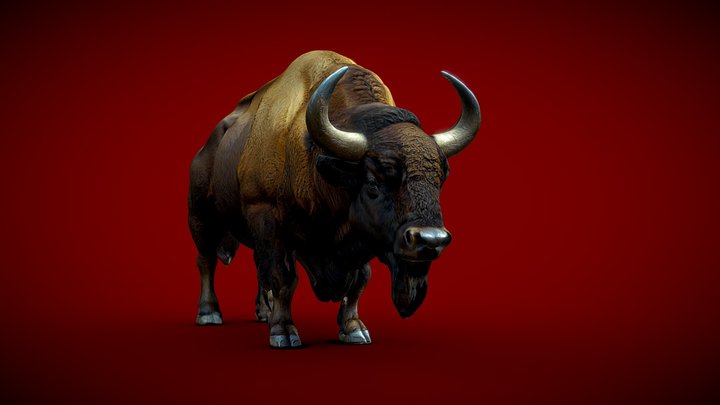 Bison 3D Model