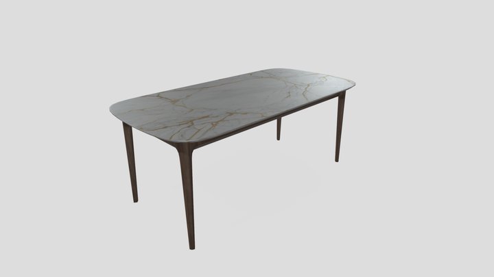 table 3D Model