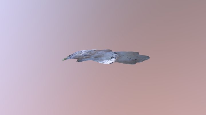 Grummin Wildcat 3D Model