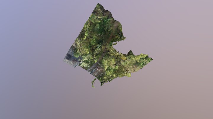 Texture YX Fbx 2 3D Model