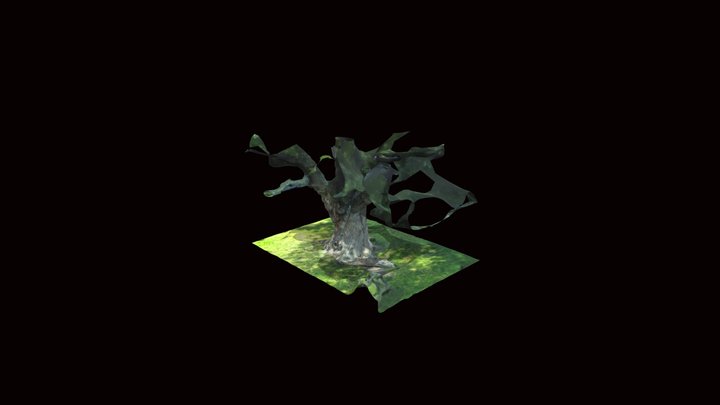 5_1_2025 3D Model