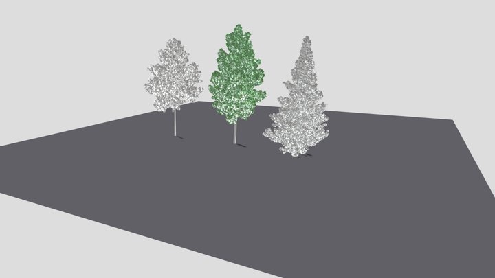 Tree Vegetation 3D Model