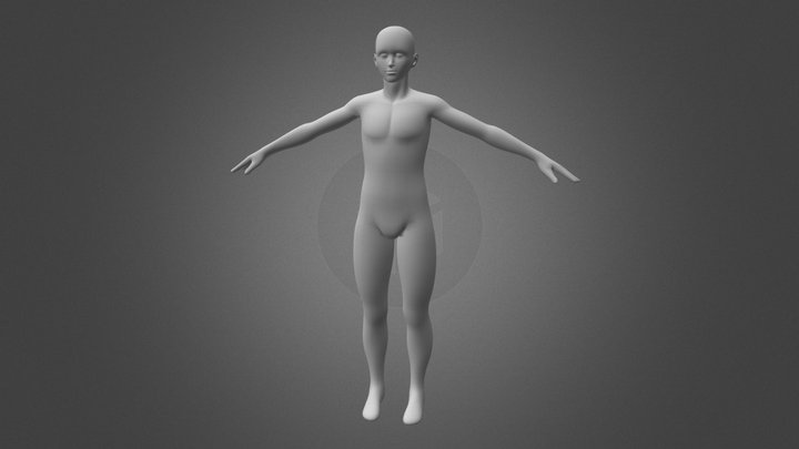 Stylized Humanoid Base Mesh - Male 3D Model
