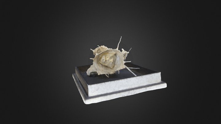 Brachiopod: Quartz Productid (PRI 76879) – Modello 3D gratuito STL