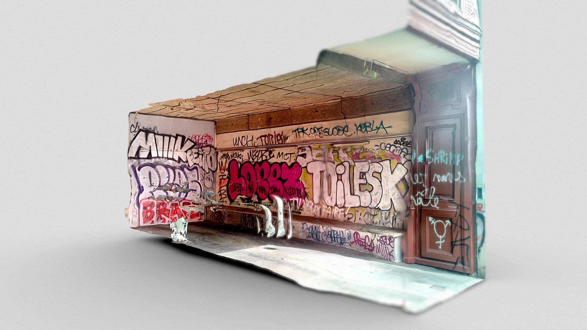 Day 271: Toilesk