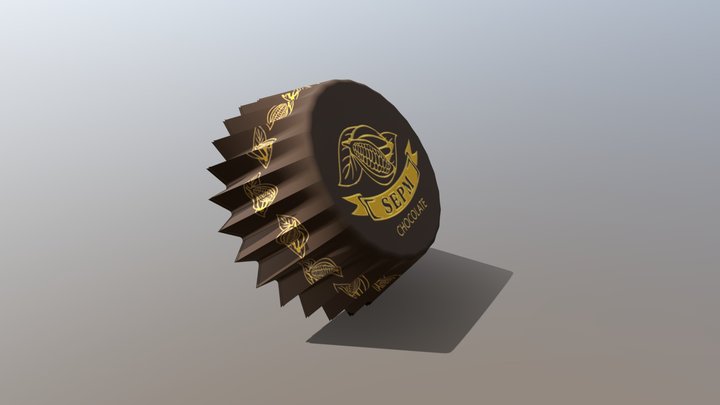 SEPM 3D Model
