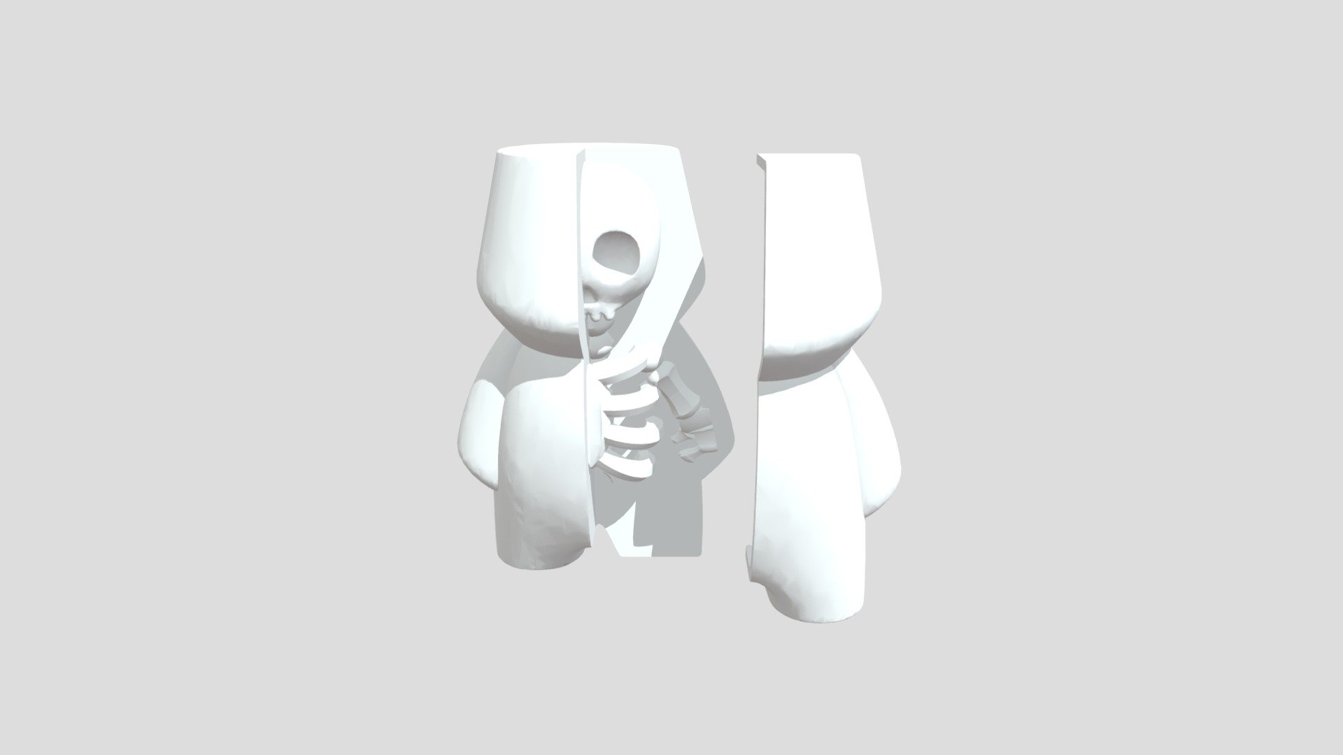 Anatomical Filla Fella