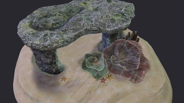 Coral Scene 3D Model