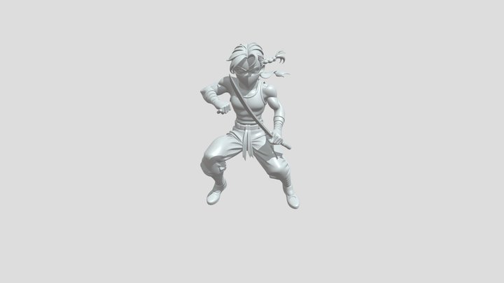 Person wielding two swords in battle stance 3D Model