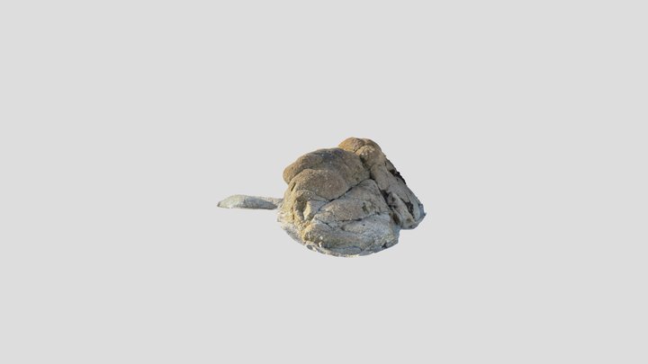 Beach Rock 9 3D Model