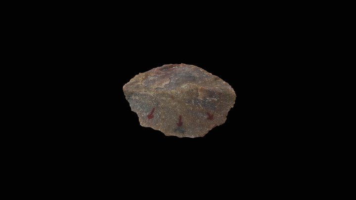 Cerutti 104 - Quartzite Scraper 3D Model