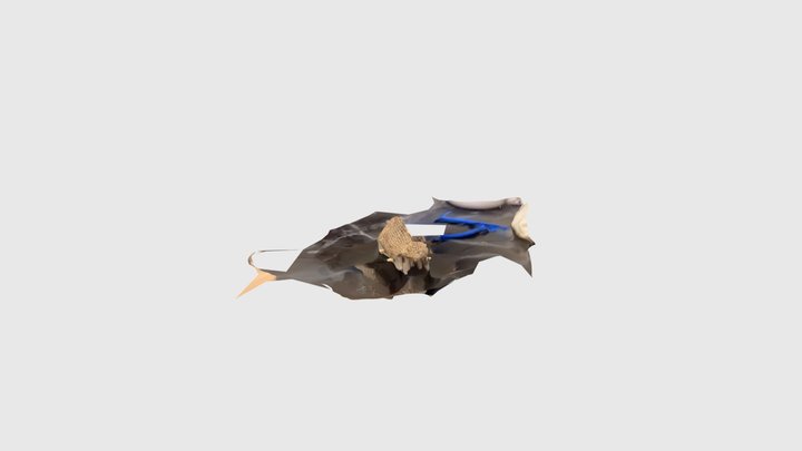 Test 1 3D Model