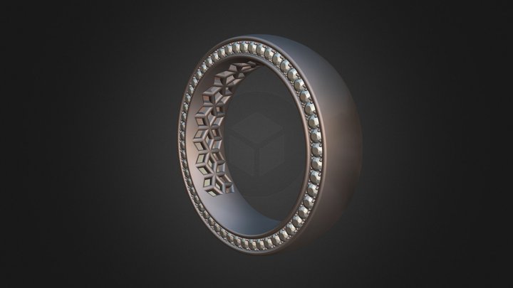 Cagatay Cetin - Twisted Spiral Ring 3D Model
