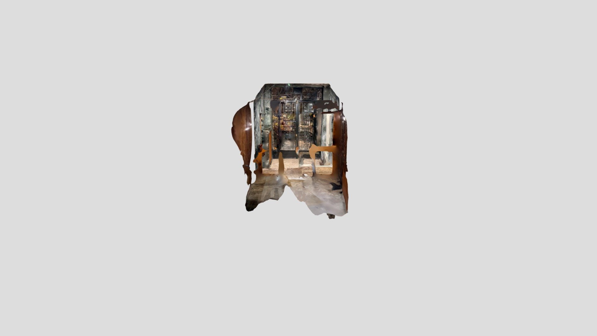 Polycam capture