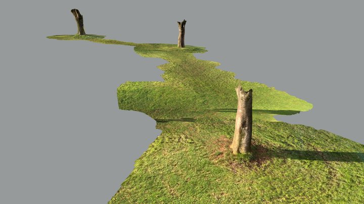 Tree,grass 3D Model