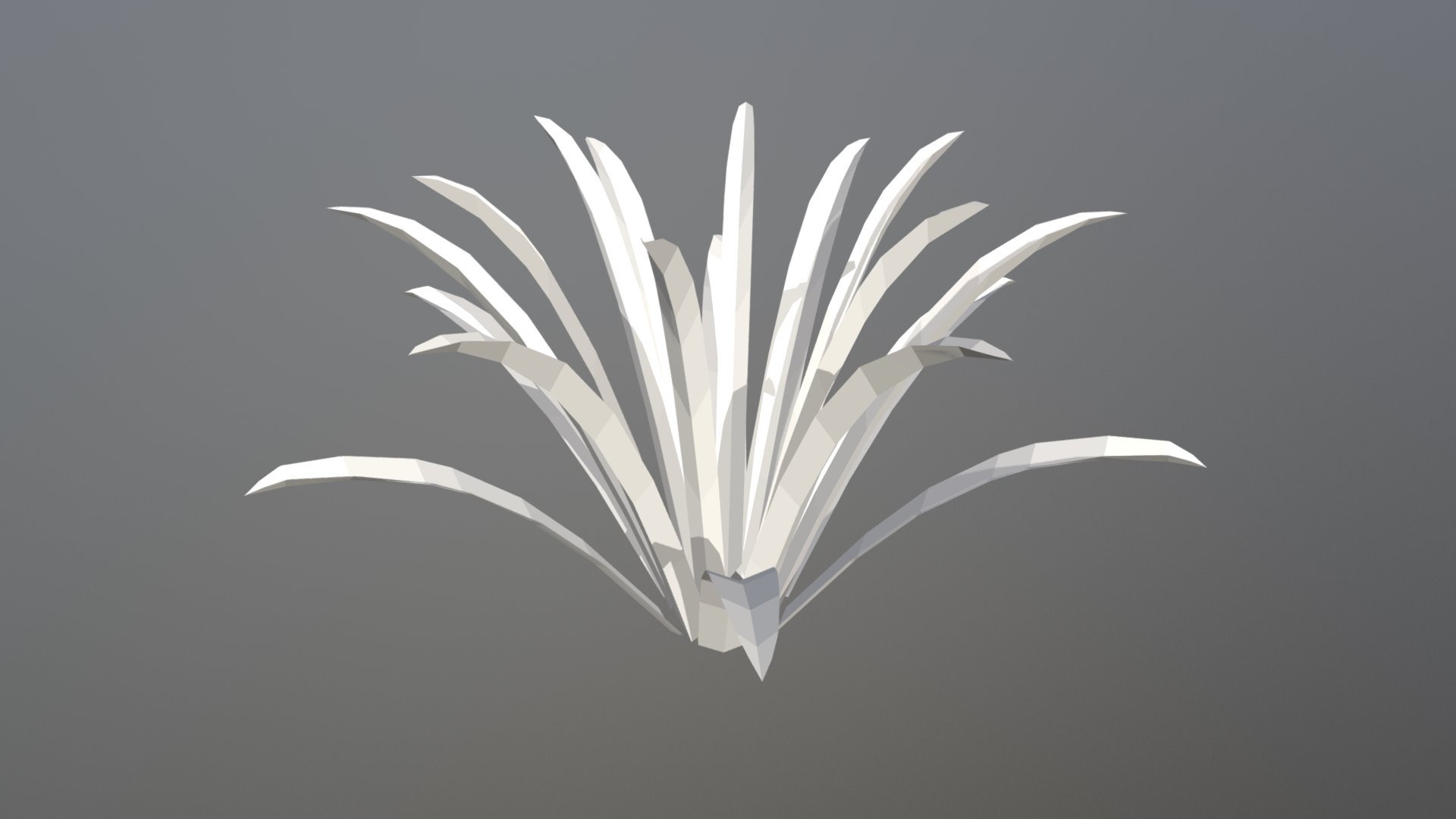 Desert Plant 1