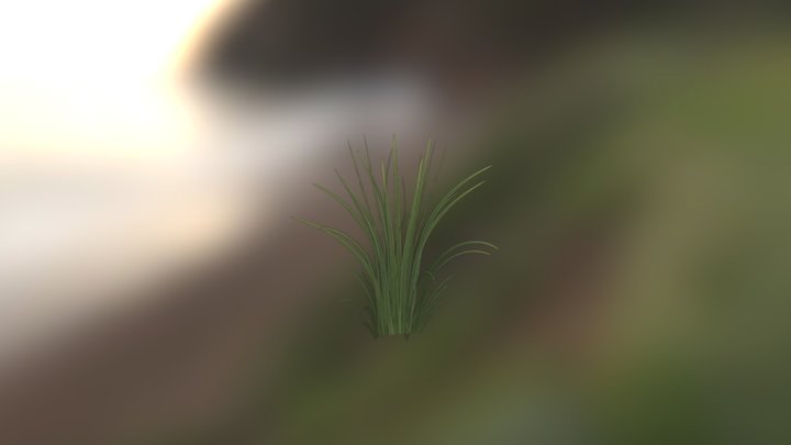 A bush of grass 3D Model